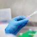 Cientistas explicam características de novo vírus de animais que infecta humanos