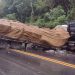 BR-101 interditada: Acidente envolvendo três carretas interdita BR-101 em trecho no ES