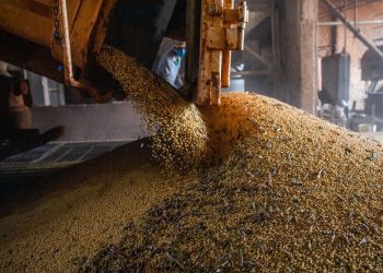 Produção agrícola em 2021 bate novo recorde e atinge R$ 743,3 bilhões