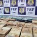 PRF apreende armas, munição e malas com mais de R$ 700 mil; homem foi preso em flagrante