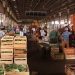 Mercadorias atrasadas começam a chegar na Ceasa e preços podem cair