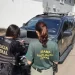 PF faz operação contra grupo que extraía pau-brasil de áreas protegidas para fabricar violinos e outros instrumentos musicais