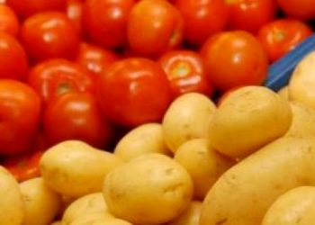 Futuro do tratamento do Câncer  pode estar no tomate e na batata