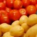 Futuro do tratamento do Câncer  pode estar no tomate e na batata