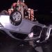 Cavalo provoca acidente entre três carros e morre atropelado na BR-101