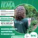 Inscrições para o concurso do Iema seguem abertas até dia 25 de janeiro