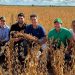 Secretário de Desenvolvimento faz visita técnica a propriedade rural em Montanha