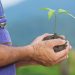 Linha de crédito para baixo carbono do Bandes é diferencial para empresários capixabas