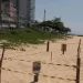 Encontrou uma tartaruga desovando? Saiba o que (não) fazer