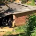 Criminosos invadem casa e matam jovem de 18 anos com vários tiros em Cariacica, ES