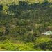 FAB inicia controle do espaço aéreo Yanomami