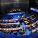 Senado irá criar comissão para acompanhar situação dos yanomami