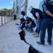 Crea constata risco de quedas e acidentes em calçadão da Praia da Areia Preta em Guarapari, ES