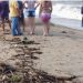 Corpo de homem é encontrado em praia, no ES