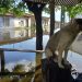 Rompimento de barragem alaga 23 casas e deixa 32 desalojados no Ceará