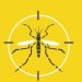 Boletins da dengue, chikungunya e Zika serão publicados diariamente