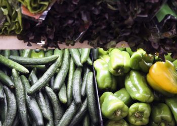 Pesquisa mostra que alimentos na mesa não refletem biodiversidade
