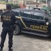 PF prende integrante de organização criminosa