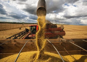 Vendas da indústria de máquinas e equipamentos caem 4,4% em agosto