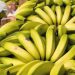 Banana está entre as culturas mais cultivadas no Espírito Santo