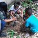 Parques Estaduais realizam atividades no Dia da Árvore