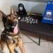 PM e PC apreendem droga e detém uma pessoa em Nova Venécia