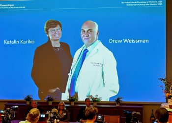 Nobel de Medicina é concedido a húngara e norte-americano