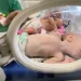 Mais de 30 bebês prematuros são retirados de hospital de Gaza