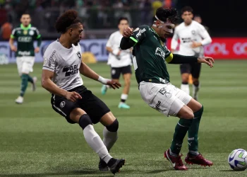 Tentando retomar caminho das vitórias, líder Botafogo recebe Palmeiras