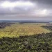 Desmatamento na Amazônia registra maior queda do ano em novembro