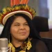 Sonia Guajajara vai presidir fundo indígena latino-americano