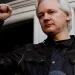Libertação de Assange é celebrada por entidades do Brasil e do mundo