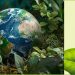 Ações em saúde auxiliam no impacto positivo ao meio ambiente