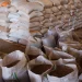 Governo inicia compra para o Programa de Aquisição de Alimentos