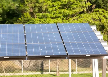 Com 22% da matriz elétrica, energia solar é a 2ª maior fonte do país