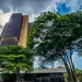 Juros médios cobrados pelos bancos chegam a 43,7% ao ano em fevereiro