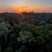 Começa hoje em Brasília a 5ª Conferência Nacional do Meio Ambiente