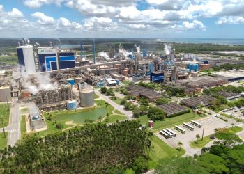 Suzano investe em transformação social e ambiental com metas ambiciosas para 2030