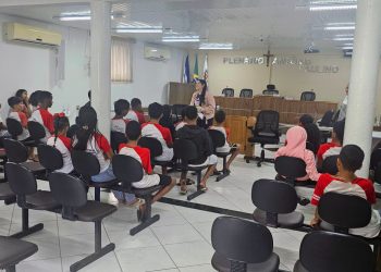 Alunos da Escola Elpídio Campos conhecem trajetória da vereadora Maine Brito na Câmara Municipal