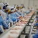 Indústria criou mais de 910 mil empregos em quatro anos, aponta IBGE