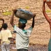 Mais de 6 mil crianças são resgatadas do trabalho infantil em 2 anos