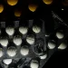 Bélgica negocia com EUA para impedir destruição de contraceptivos