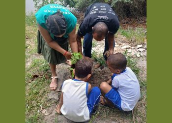 Parque Estadual de Itaúnas realiza comemoração ao Dia da Árvore e ação de educação ambiental