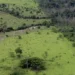 Governo prorroga prazo para georreferenciamento de imóveis rurais