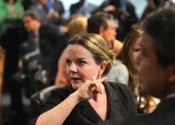 Gleise culpa Selic pela dívida pública e não as despesas do governo