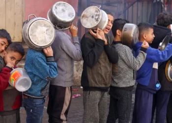 ONU: número de crianças com desnutrição aguda em Gaza é muito alto