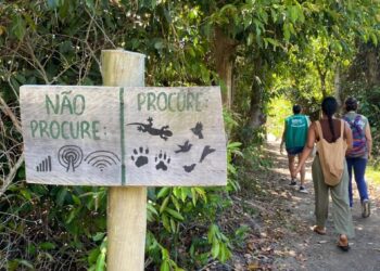 Parque Estadual de Itaúnas prepara atividades durante temporada de Verão