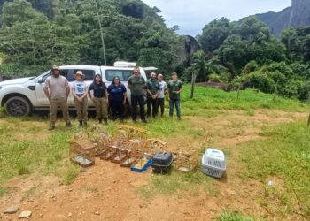 Iema realiza primeira soltura de animais silvestres no Monumento Natural Serra das Torres