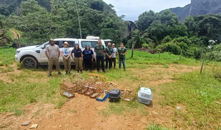 Iema realiza primeira soltura de animais silvestres no Monumento Natural Serra das Torres
