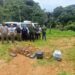 Iema realiza primeira soltura de animais silvestres no Monumento Natural Serra das Torres